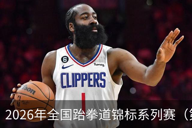 2026年全国跆拳道锦标系列赛（第二站）在广州举行